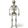 Standing Skeleton icon