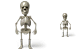 Standing skeleton icons