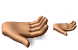 Hand SH ICO
