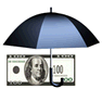 Insurance icon