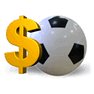 Professional Sports with Shadow icon
