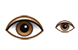 Eye icons