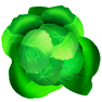 Cabbage icon