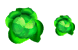 Cabbage icons