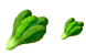 Chinese spinach icons