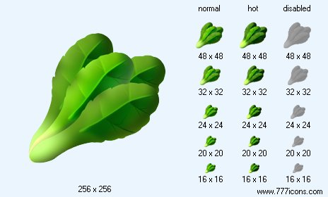 Chinese Spinach Icon Images
