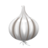 Garlic icon
