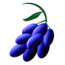 Grapes icon