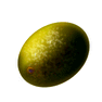 Kiwi icon