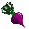 Radish icon