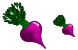 Radish icons