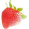 Real Strawberry icon