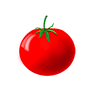 Tomato icon