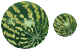 Water-melon icons