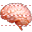 Brain icon