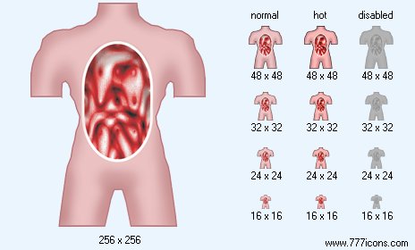 Anatomy Icon Images