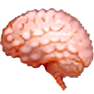 Brain icon