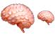 Brain icons