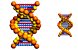 DNA icons