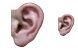 Ear icons