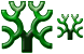 Genealogy icons