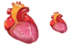 Heart icons