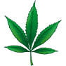 Marijuana icon