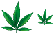Marijuana icons