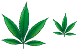 Marijuana icon