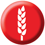 Wheat Allergy icon