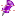 Purple pin SH icon