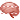 Brain icon