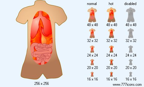 Anatomy Icon Images