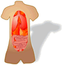 Anatomy with Shadow icon