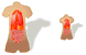 Anatomy SH icons