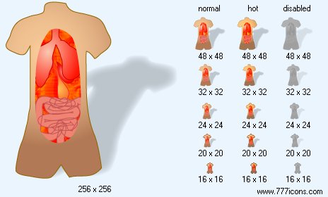 Anatomy with Shadow Icon Images