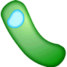 Bacteria icon