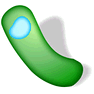 Bacteria with Shadow icon