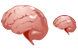 Brain icons