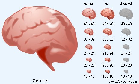 Brain Icon Images