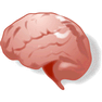 Brain with Shadow icon