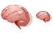 Brain SH icons