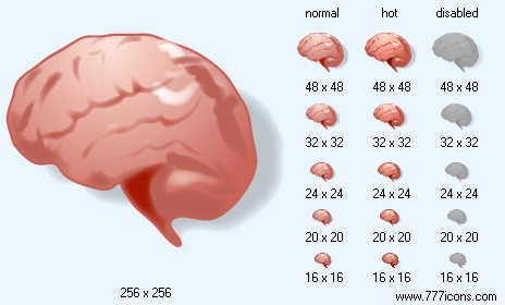 Brain with Shadow Icon Images