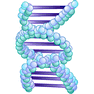 DNA icon