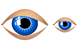 Eye icons
