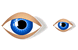 Eye SH icons