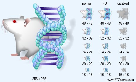 Genetics with Shadow Icon Images