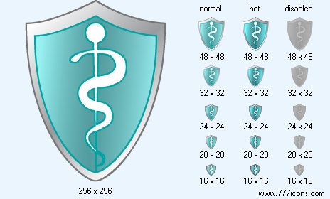 Health Care Shield Icon Images