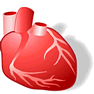 Heart with Shadow icon