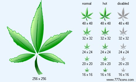Hemp Leaf Icon Images